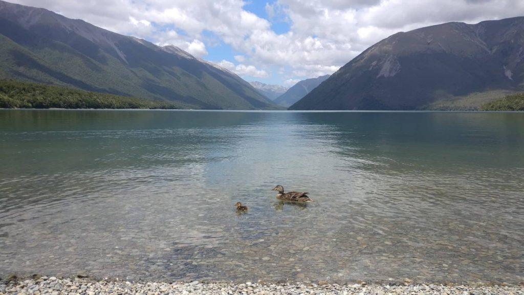 Rotoroa Lake